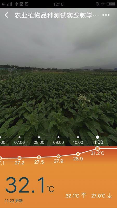 新标农场app下载,新标农场安卓版