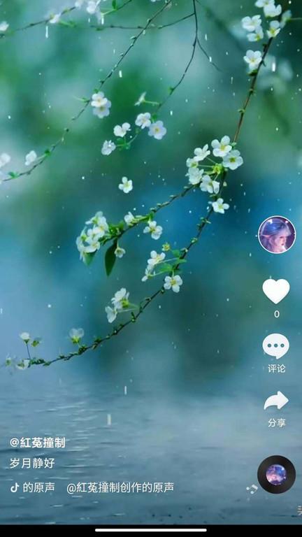 全民刷刷app下载,短视频app,娱乐app,全民刷刷