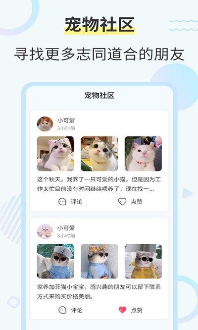 猫咪交流翻译器app(改猫咪翻译器)下载,猫咪交流翻译器,宠物app,交流app